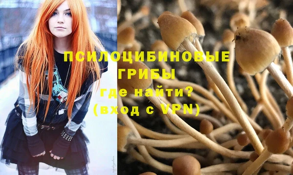 МДПВ Белая Холуница