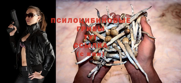 прущая мука Горнозаводск
